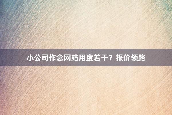 小公司作念网站用度若干？报价领路