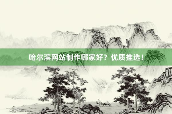 哈尔滨网站制作哪家好？优质推选！